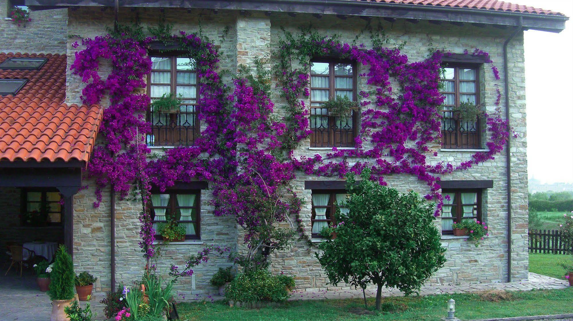Hotel Rural Casona De Cefontes Екстериор снимка